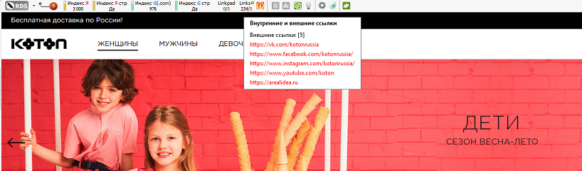 Поиск ссылок при помощи RDS Bar